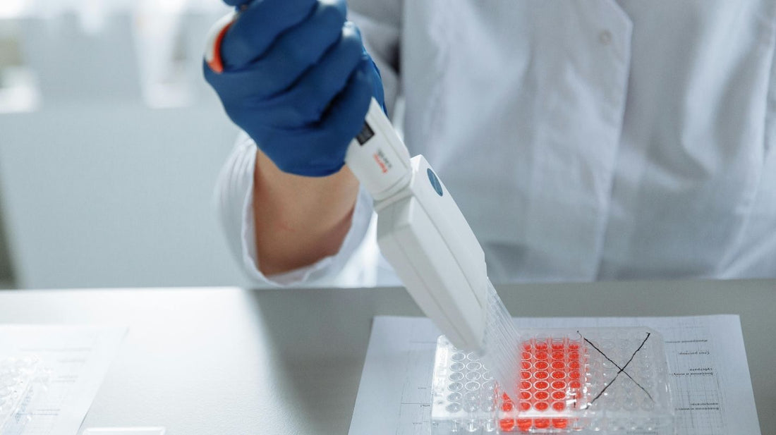 Inhaltsstoffe und ihre Wirkung in TRY-B